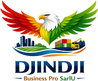 DJINDJI BUSINESS PRO SARLU